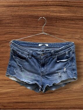 Willow Root Women’s Destroyed Shorts Size 30